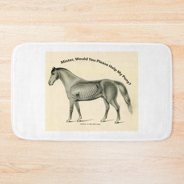Item preview, Mister, Would You Please Help My Pony? WEEN Boognish designed and sold by William Wright.