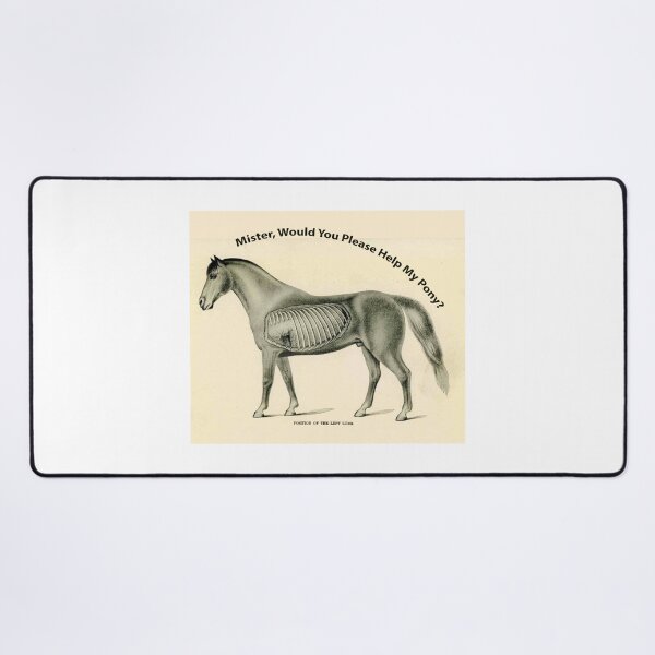 Item preview, Mister, Would You Please Help My Pony? WEEN Boognish designed and sold by William Wright.