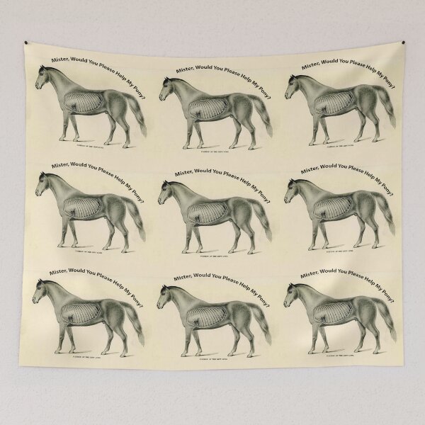 Item preview, Mister, Would You Please Help My Pony? WEEN Boognish designed and sold by William Wright.