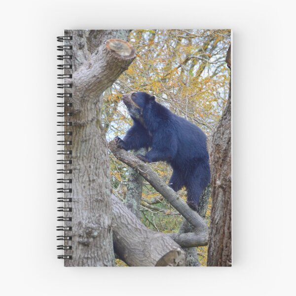 Item preview, The Bear designed and sold by Mark Bowden.