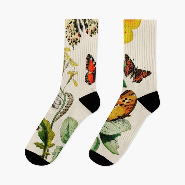 Item preview, Vintage Butterfly Watercolor Illustration designed and sold by ToadsWorkshop.