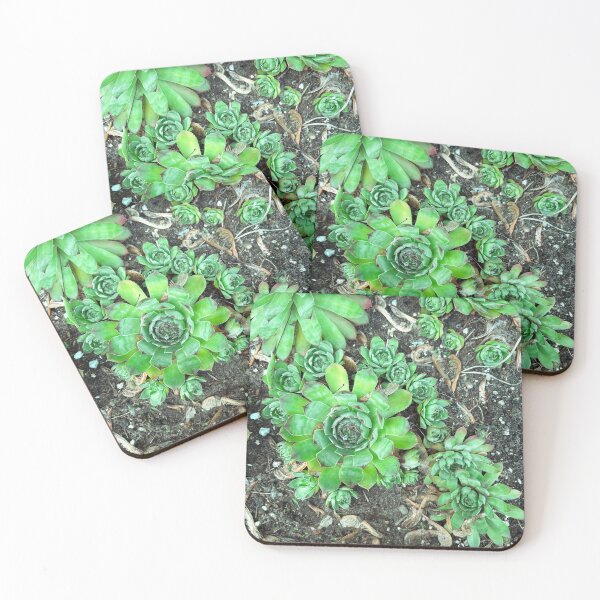 Item preview, Succulents lined up designed and sold by Awaters14.