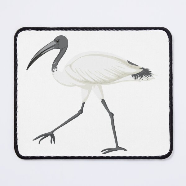 Item preview, Bin Chicken  Ibis designed and sold by SunnyDesignsCo.