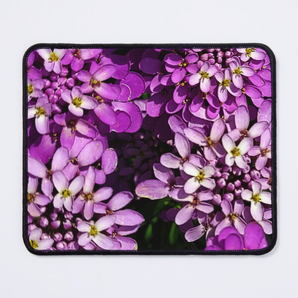 Item preview, Garden Flowers 012 designed and sold by Gilby-Designs.