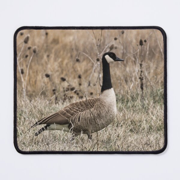 Item preview, Side Profile of a Goose designed and sold by LayoverJourney.