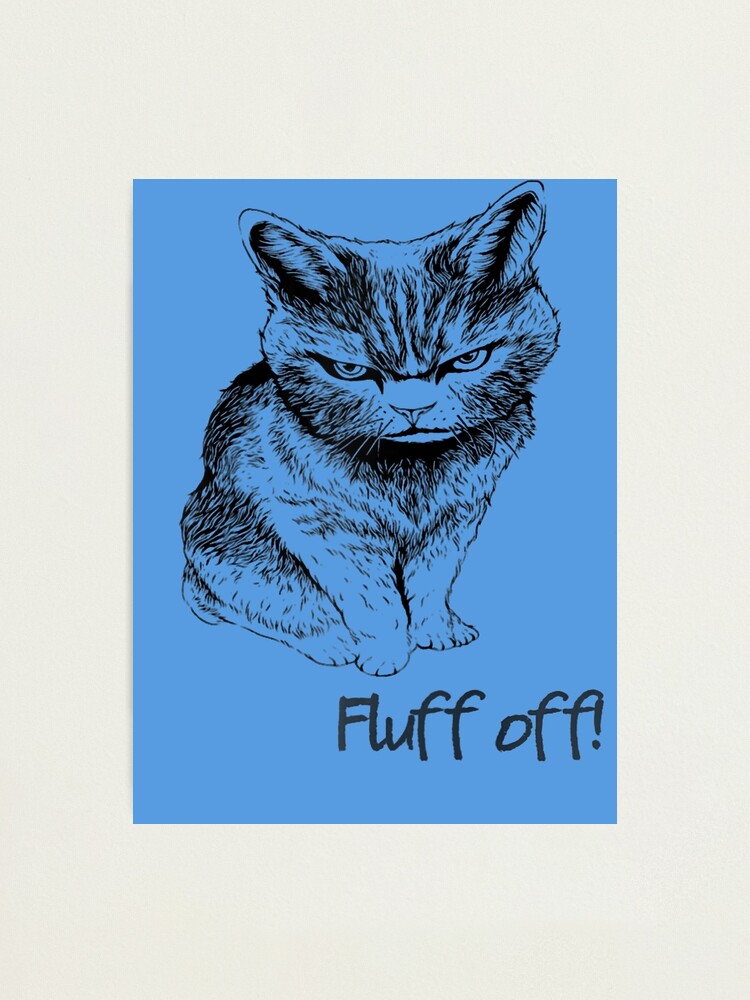 Fluff Off Angry Cat Poster by lovewithfluff