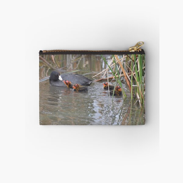 Item preview, American Coots  designed and sold by soulfulpix.