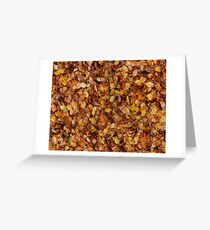 leaves Greeting Card