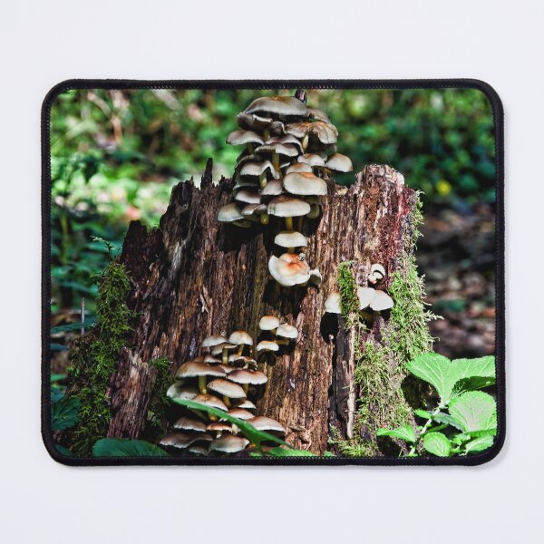 Item preview, Mushroom Stump designed and sold by KirtTisdale.