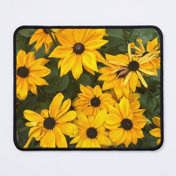 Item preview, Black Eyed Susans designed and sold by DropBearStudio.