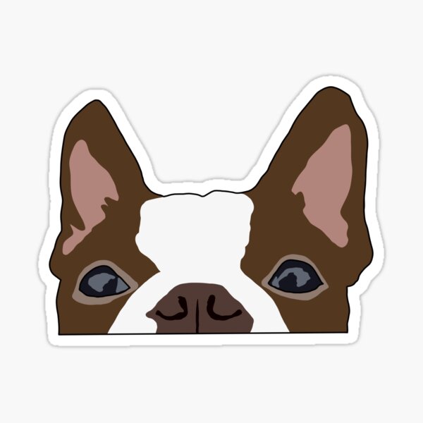 Boston Terrier Stickers for Sale