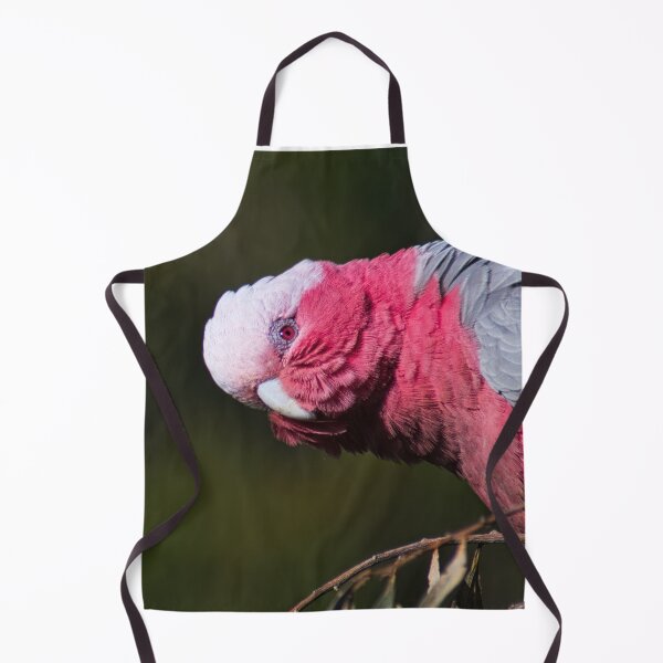 Item preview, Nosey Galah designed and sold by GiantPaul.