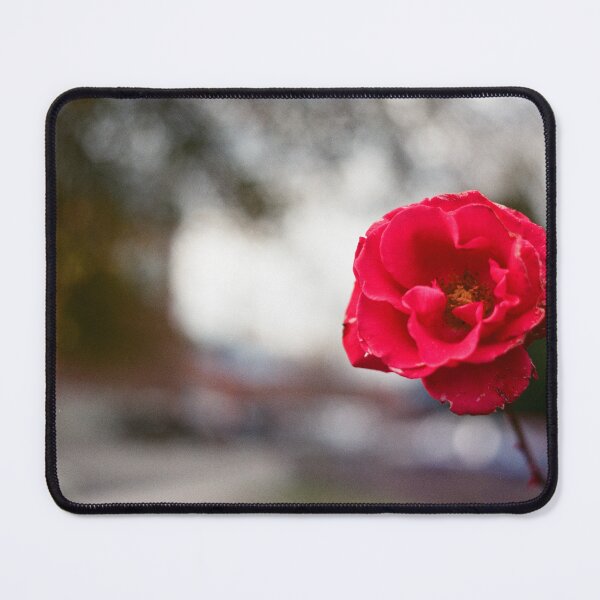 Item preview, Tattered red rose designed and sold by ArtbyMLou.