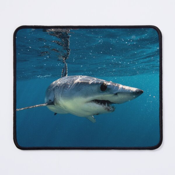 Item preview, Mako Shark, zippin' around Cabo designed and sold by benillis.