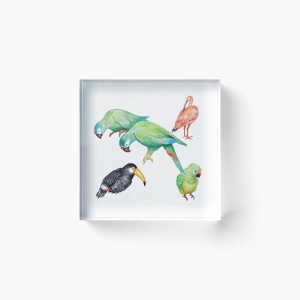 Item preview, Iguazú Birds I Transparent designed and sold by Nubia  Ozzi.