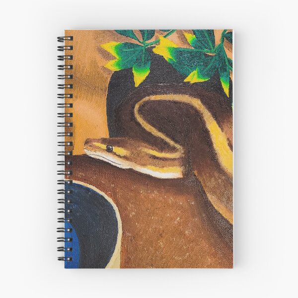 Aperçu de l'œuvre Python boule mignon au repos créée et vendue par KatsColorfulArt.