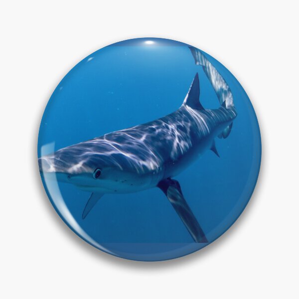 Item preview, Blue Shark Boops in Cabo designed and sold by benillis.