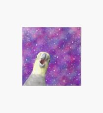Cosmic Honk - Alex the Honking Bird Art Board
