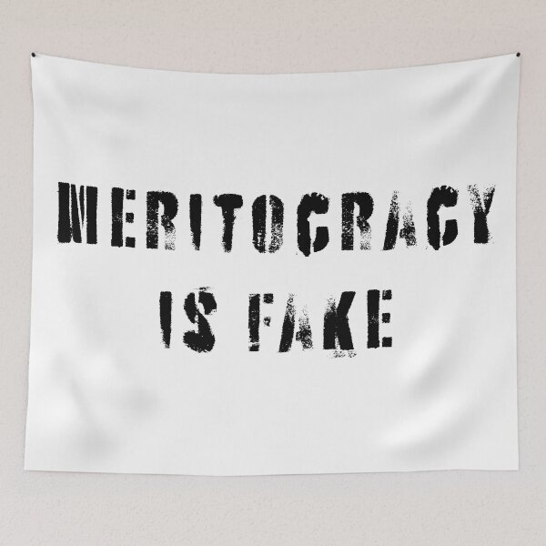Item preview, Meritocracy Is Fake designed and sold by Texterns.