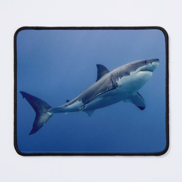Item preview, Great White Shark, Isla Guadalupe designed and sold by benillis.