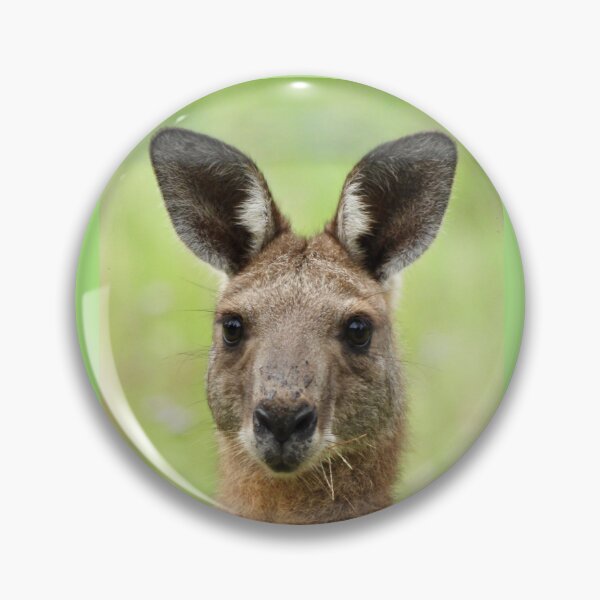 Item preview, Kangaroo face  designed and sold by Mark Grimsley.