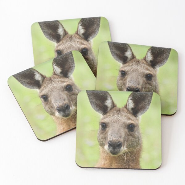 Item preview, Kangaroo face  designed and sold by Mark Grimsley.