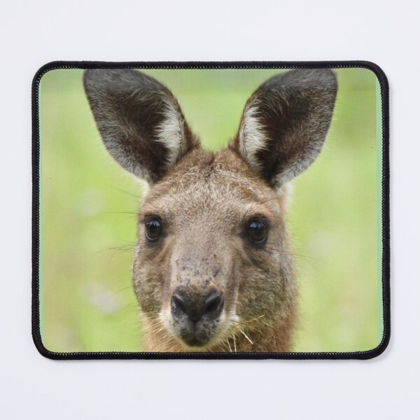 Item preview, Kangaroo face  designed and sold by Mark Grimsley.