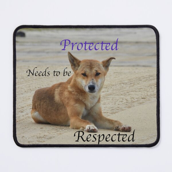 Item preview, kgari dingo (Fraser island) need to be respected designed and sold by Mark Grimsley.
