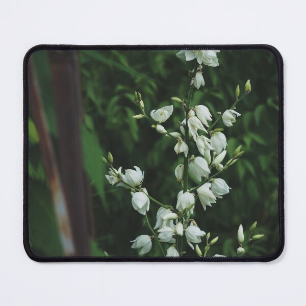 Item preview, Yucca Bush designed and sold by TheeForestFox Shop.