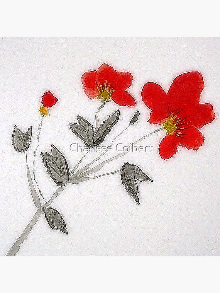 Oriental Poppies by charissecolbert