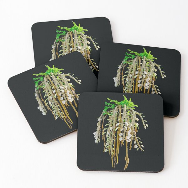 Item preview, flowers growing from black clour designed and sold by MiMee4451.