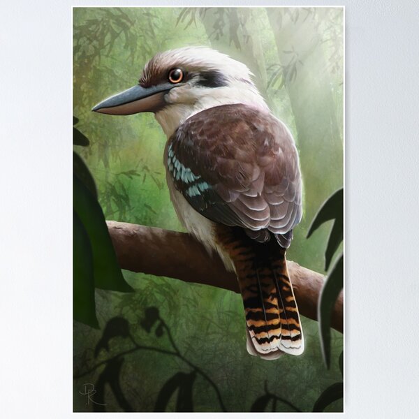 Item preview, Kookaburra designed and sold by Daniel Ranger.