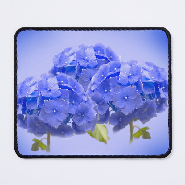 Item preview, Blue Hydrangea designed and sold by Alisonchambers2.