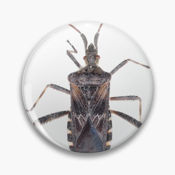 Item preview, Western conifer seed bug designed and sold by SDym Photography.
