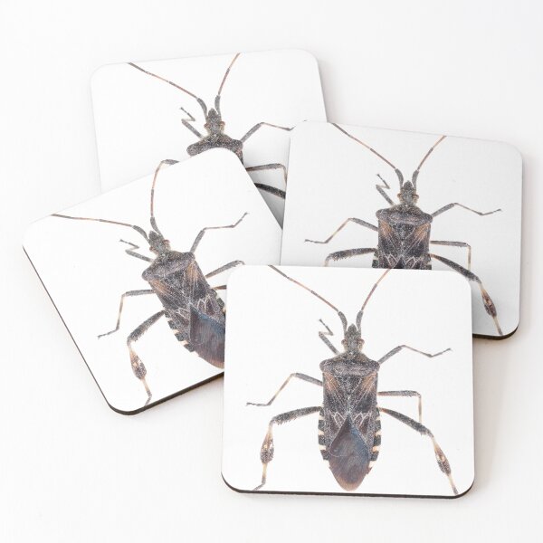 Item preview, Western conifer seed bug designed and sold by SDym Photography.