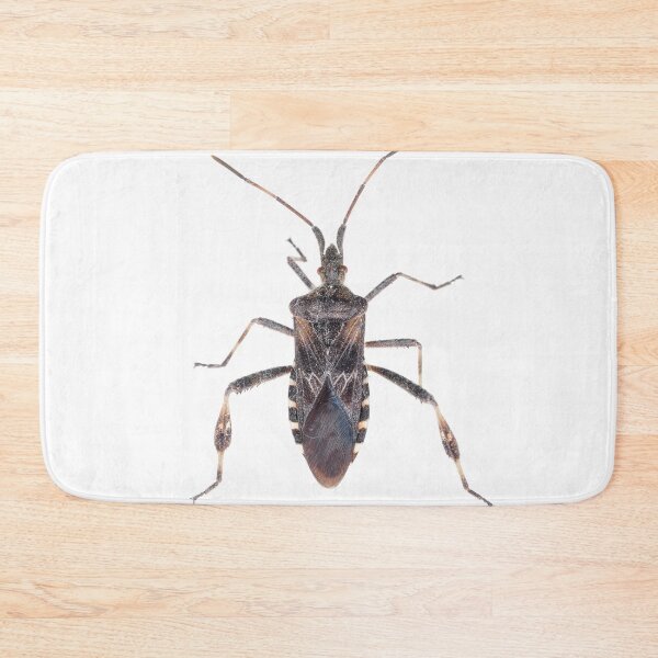 Item preview, Western conifer seed bug designed and sold by SDym Photography.