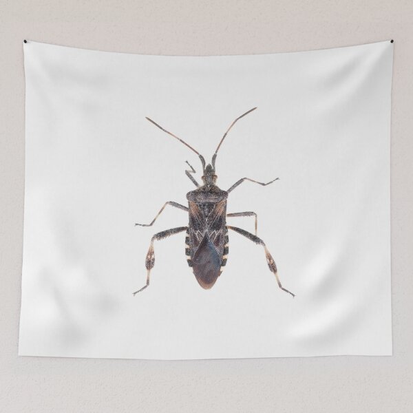 Item preview, Western conifer seed bug designed and sold by SDym Photography.