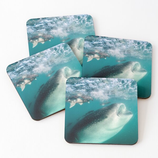 Item preview, A Whale (Shark) of a Baby, La Paz designed and sold by benillis.