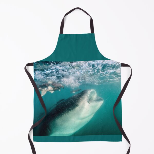 Item preview, A Whale (Shark) of a Baby, La Paz designed and sold by benillis.