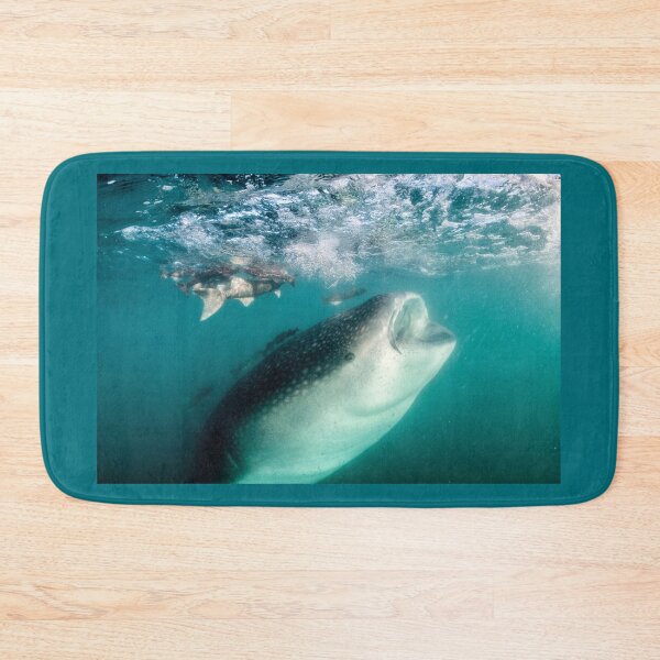 Item preview, A Whale (Shark) of a Baby, La Paz designed and sold by benillis.