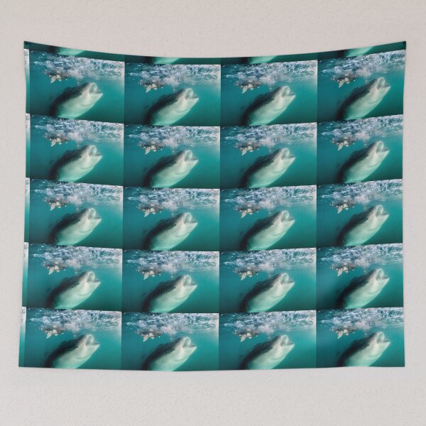 Item preview, A Whale (Shark) of a Baby, La Paz designed and sold by benillis.