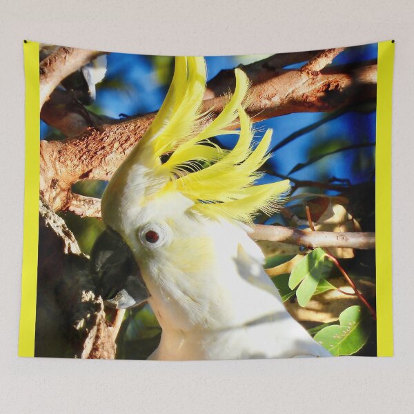 Item preview, Cockatoo show off high up a tree designed and sold by Mark Grimsley.