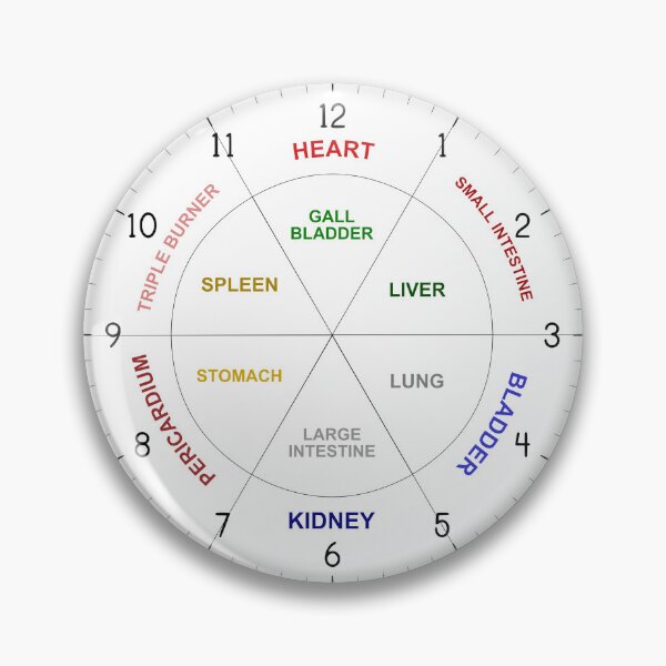 Item preview, TCM Traditional Chinese Body Organ Times Clock - Asian Hour Chart designed and sold by inspirationzgal.