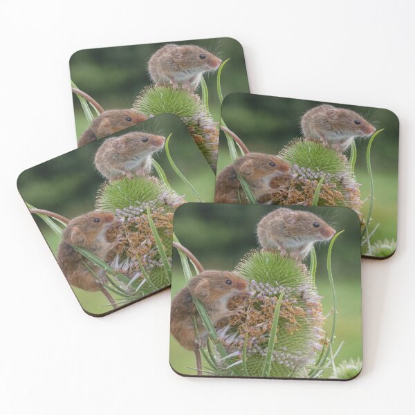 Item preview, Harvest Mice on Teasel lookout designed and sold by Adrian Rowley.