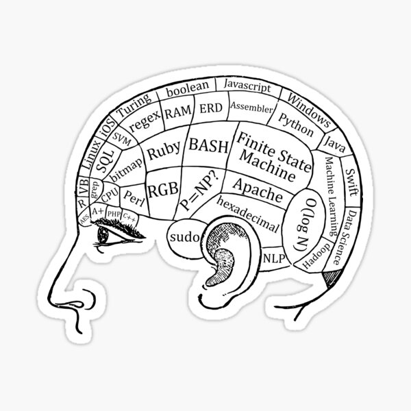 Brain of a Programmer and Computer Scientist Sticker