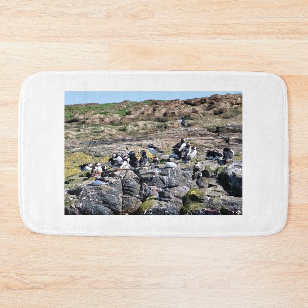 Artikelvorschau, Eine Gruppe Papageientaucher - Farne Islands, Northumberland entworfen und verkauft von Richard Flint.