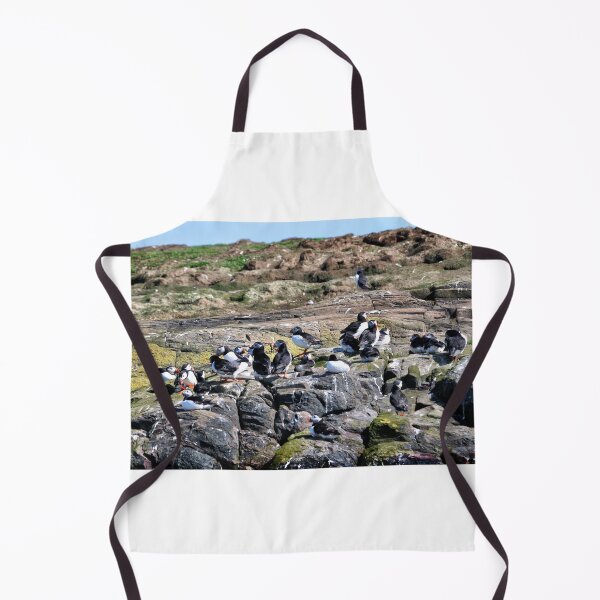 Artikelvorschau, Eine Gruppe Papageientaucher - Farne Islands, Northumberland entworfen und verkauft von Richard Flint.