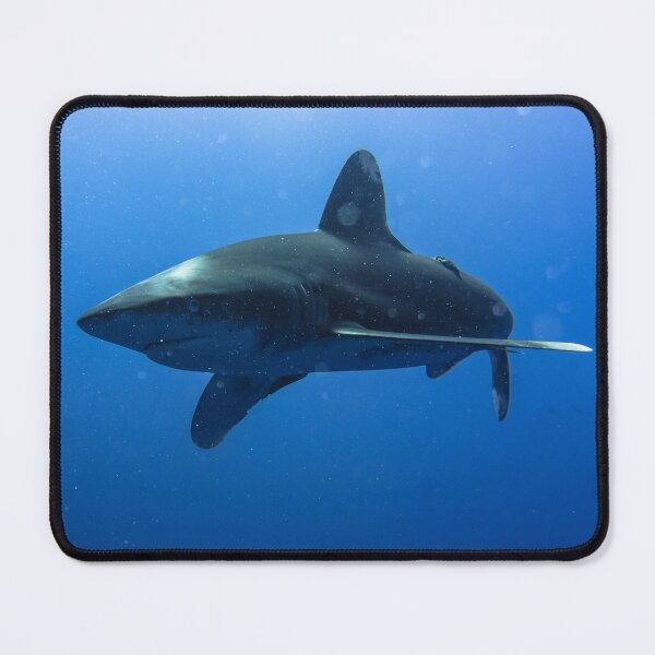Item preview, Marvin the Oceanic Whitetip designed and sold by benillis.