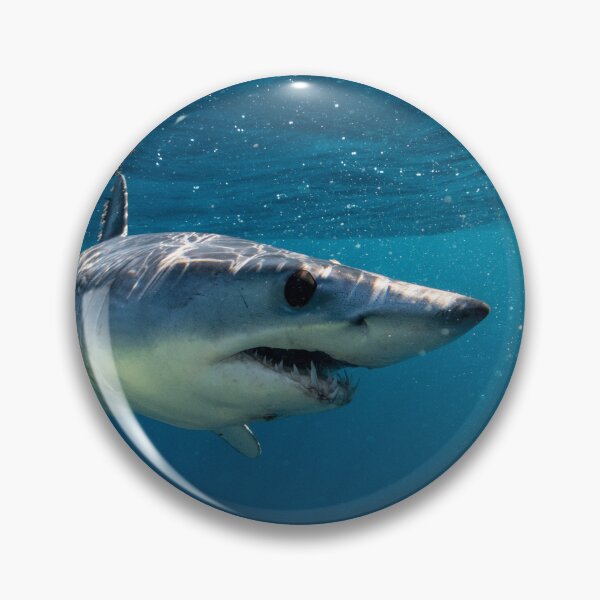 Item preview, Mako Shark, zippin' around Cabo designed and sold by benillis.