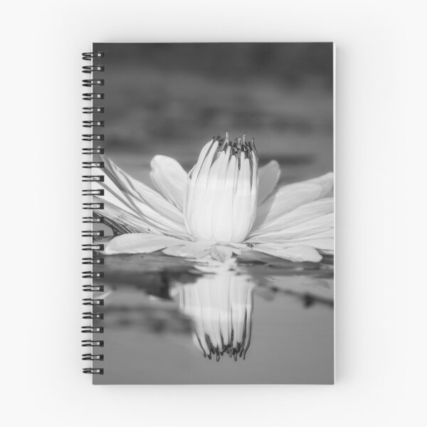 Item preview, Water Lily BW Botswana Africa designed and sold by PhotoArt by Joan Carroll.